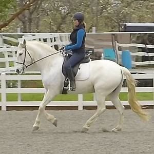 Meet your Posher, Andrea